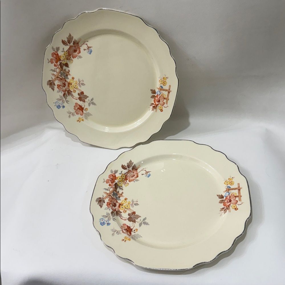 Lido WS George Canarytone Vintage Floral 9 1/2 Inch Dinner Plates Set 2 Made USA